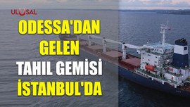 Odessa'dan gelen tahıl gemisi İstanbul'da